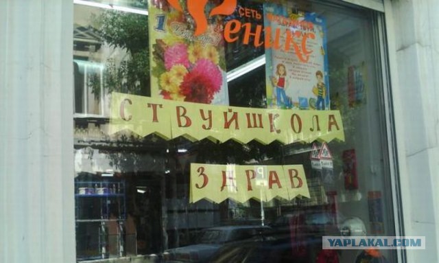 Картинки
