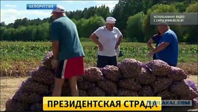 Загородный дом по цене минской «однушки».