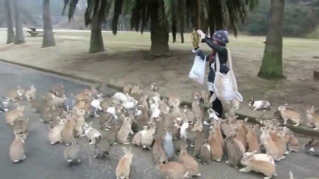 Острова на которых не захочется отдыхать