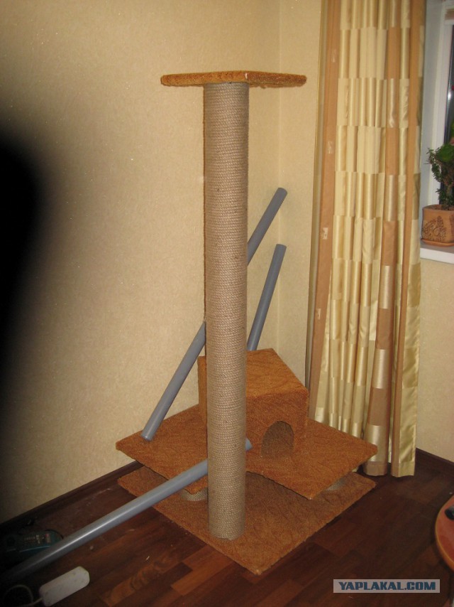 Кошкин дом - он такой