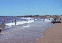 Прикольные ГИФЫ. Анимированные картинки.