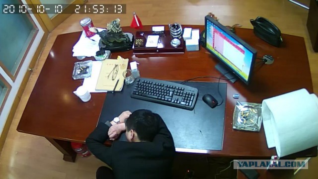 За что я люблю китайцев