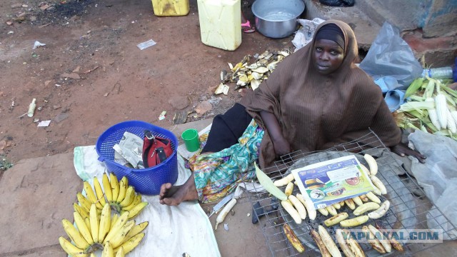 Отпуск в Африке, часть 2