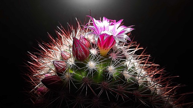 Подборка интересных и красивых фото