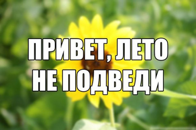 Подборка интересных и веселых фото