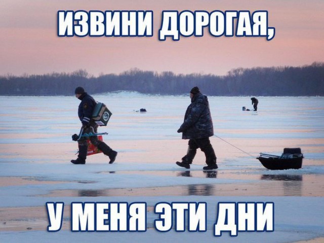 Как правильно прикармливать рыбу