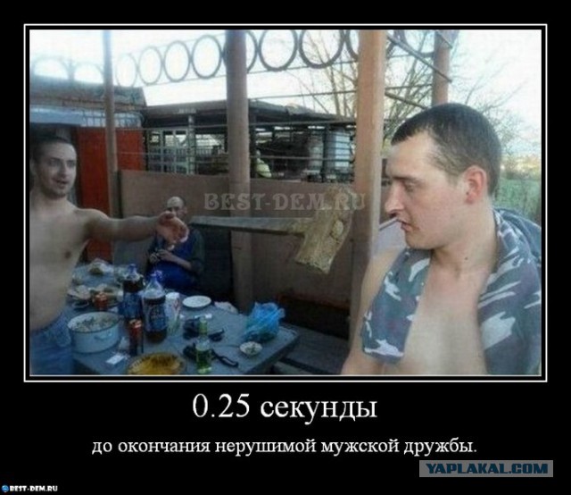 Настоящий фотограф всегда найдёт удачный ракурс!