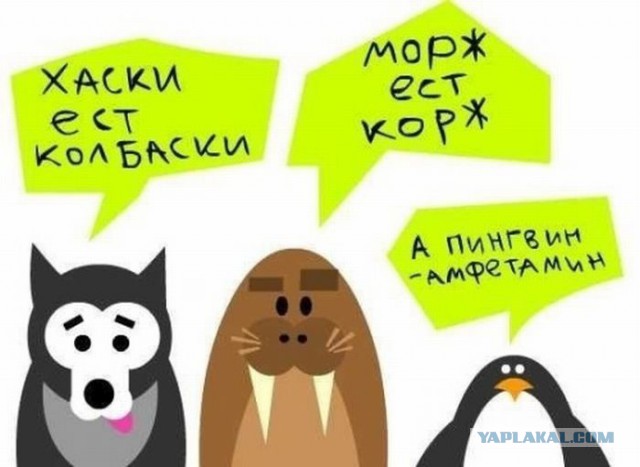 Что может случится с УАЗ Патриот за 2.5 года и 75 000 км? А всё!