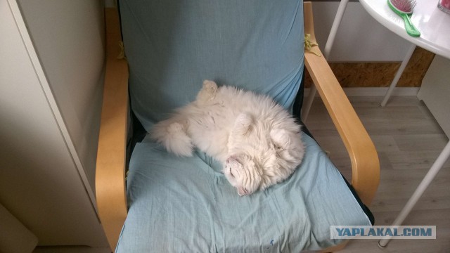 Жмякнуть захотелось?
