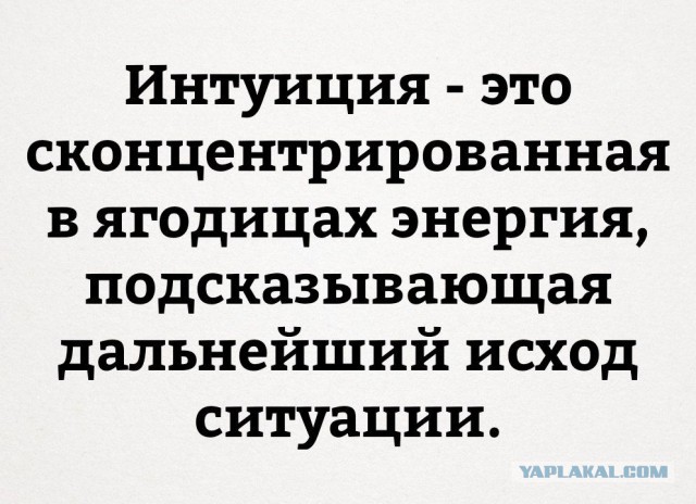 Смешные комментарии из социальных сетей 09.12.2016