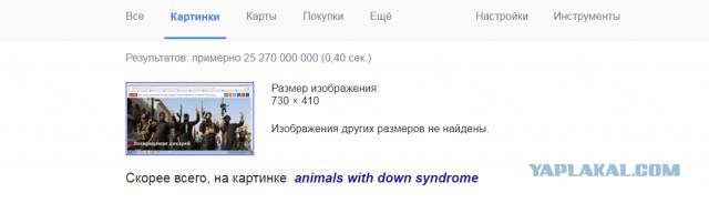 МИД Нидерландов вызвал послов России и Ирана из-за ситуации в Алеппо