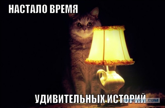 Выгодно или невыгодно владеть бэушной иномаркой. Личный опыт.