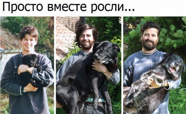 Набористый набор картинок