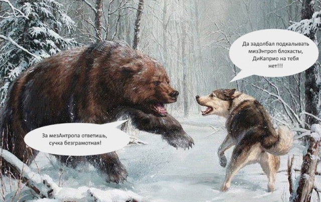Мизэнтропия растет...