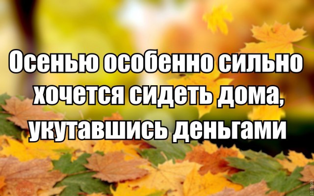 Да чё за хрень-то?!