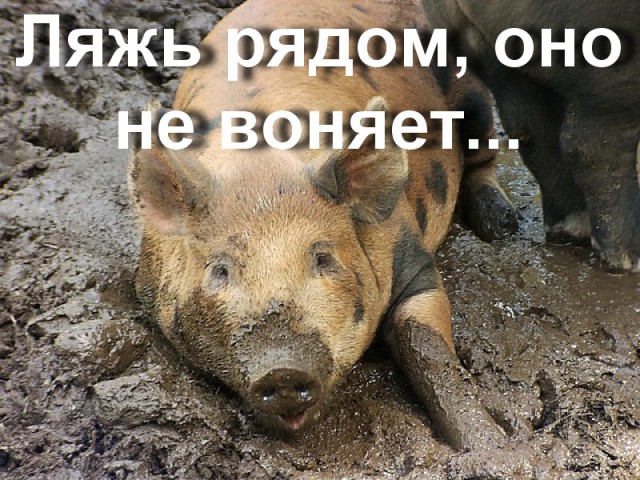 Соседи и их привычка ставить пакеты мусора в подъезде