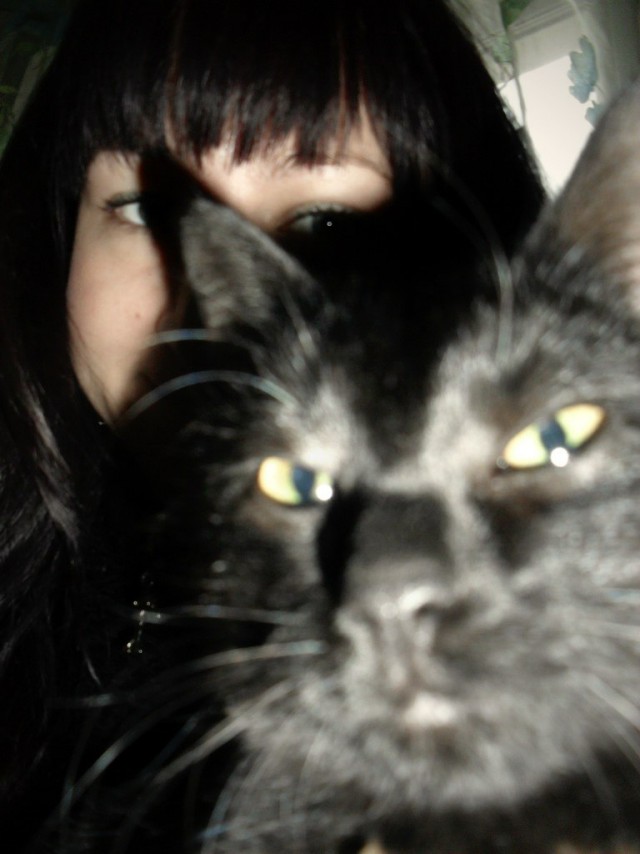 Прикольных котов пост