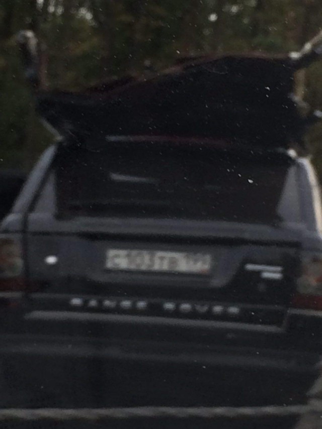 Последствия аварии на Минском шоссе 11.09.2018 жесть