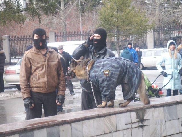 Выловлено в наших сетях