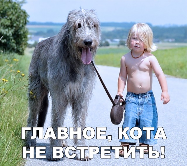 Нестандартный юмор