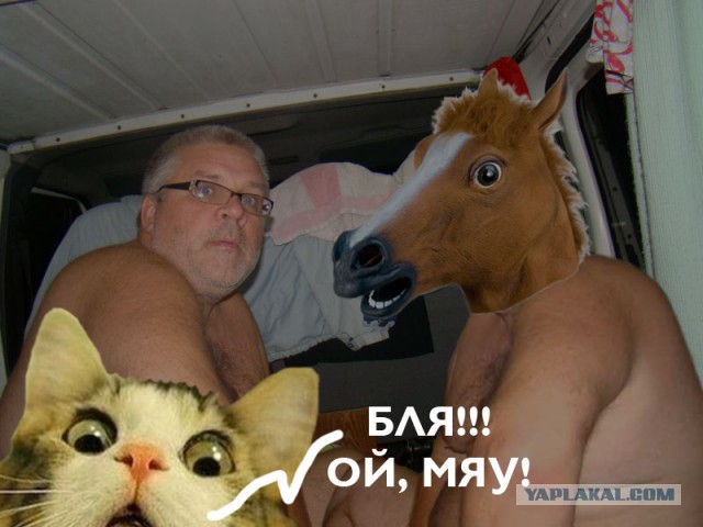 Дров не дали. Как жить бедному крестьянину?