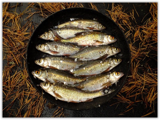 Привет всем из деревни