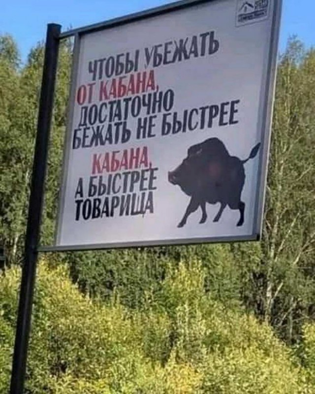 Как соблазнить девушку покачивая перьями на шляпах или рак мозгом заболееет