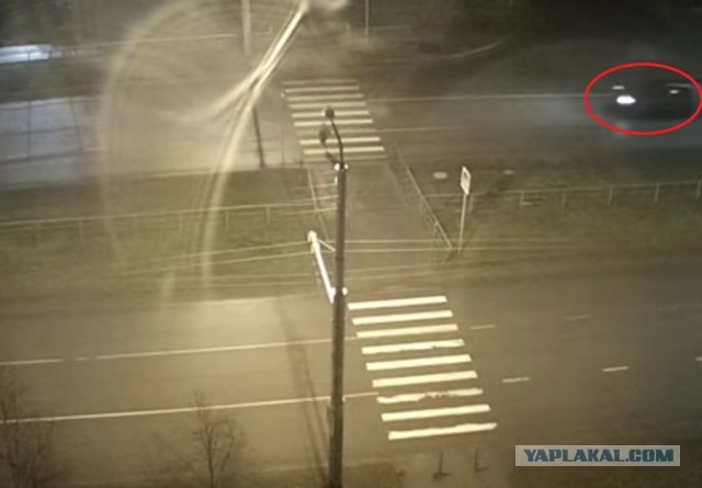 Росла же как-то до этого вечера целой