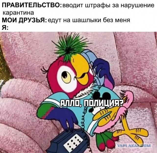 Бредзона 06.04.2020