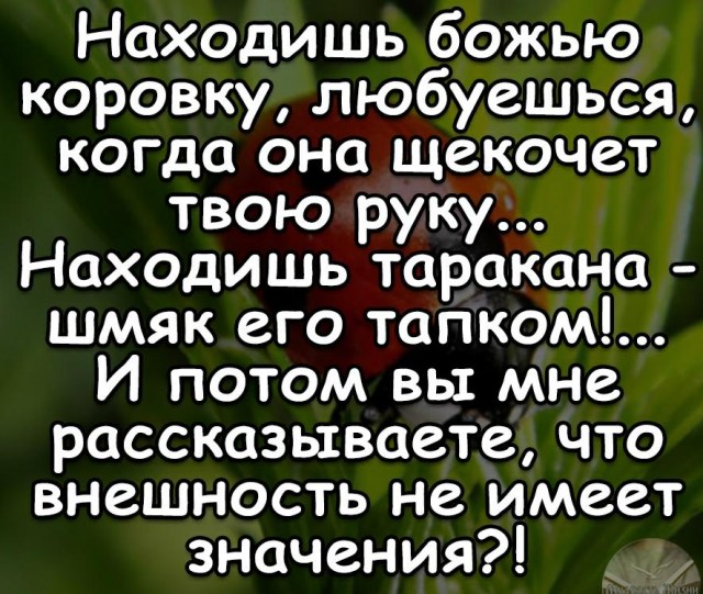 Немного картинок