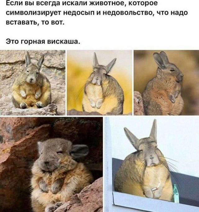 Бредзона 30.08.20