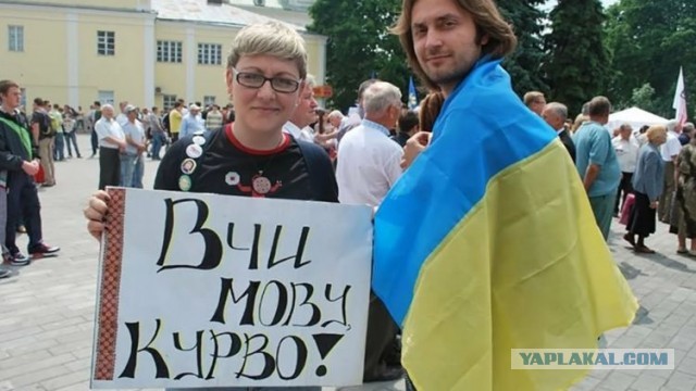 Северный Крым остался без воды вслед за центральным и южным