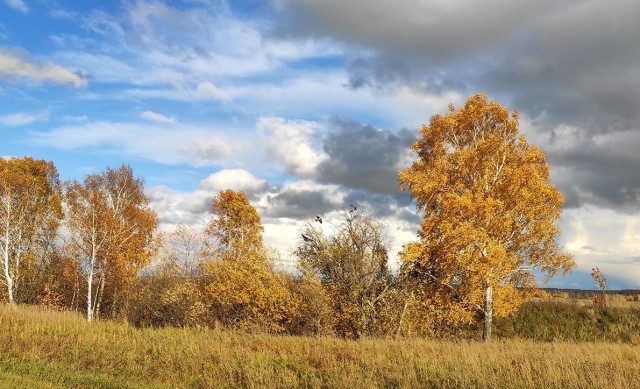 Новосибирская осень. Фотокарточки