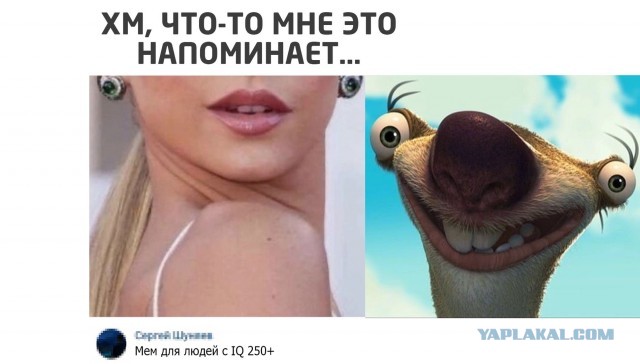 Опять 25 от 24.10.20