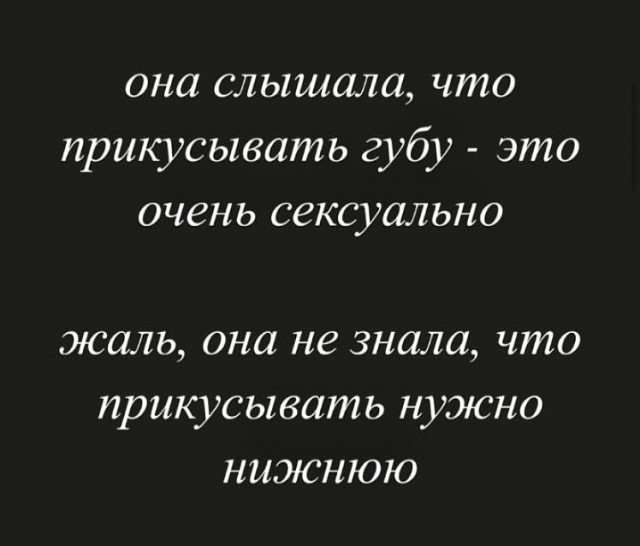 Юмор и прикольные картинки
