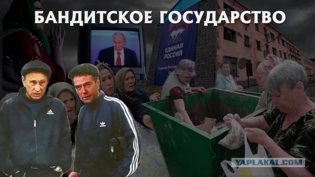 "Отрицать бесполезно". Биограф Путина подтвердил: дворец в Геленджике — подарок президенту от олигархов