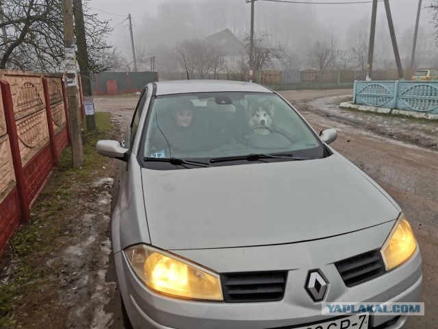 Хозяин, я с тобой