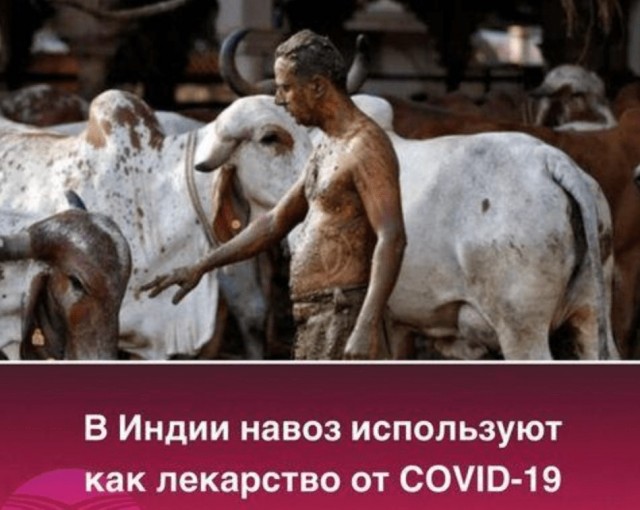 Как же им теперь хорошо