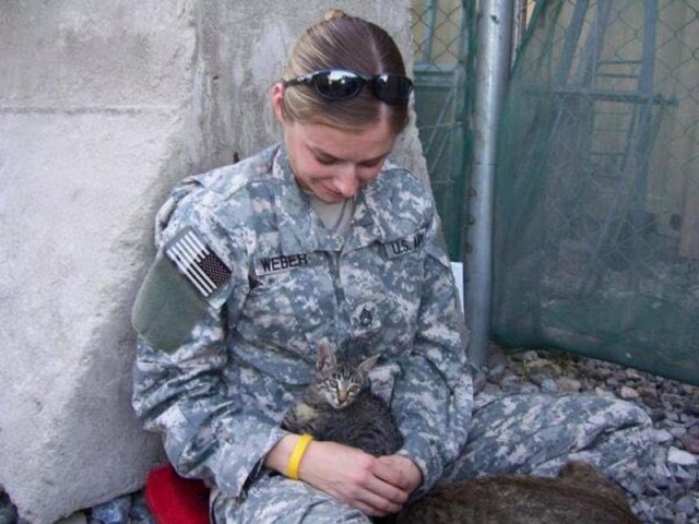 Почему в зоне военных действий нельзя спасать котов и собак закрытых в шкафах.