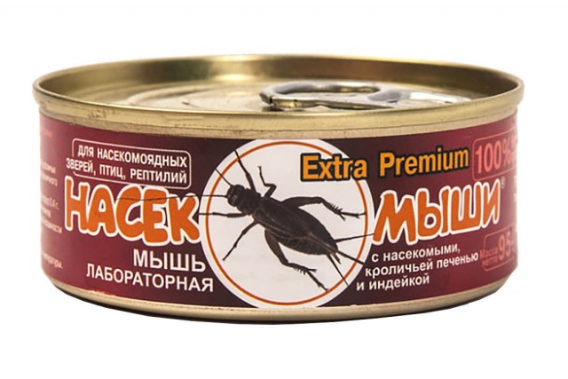 Жизнь домашнего приюта для котеек 367