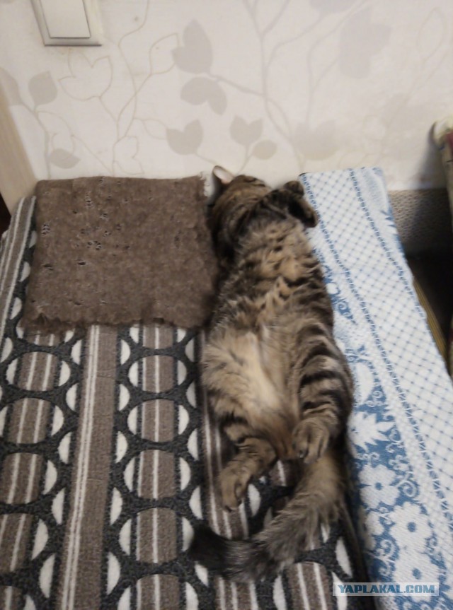 Одного фото пост