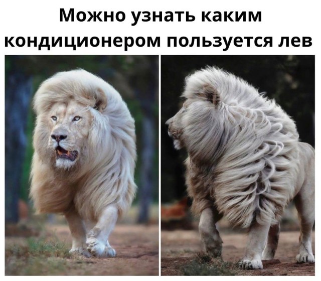 Так себе картинки 05.12.21