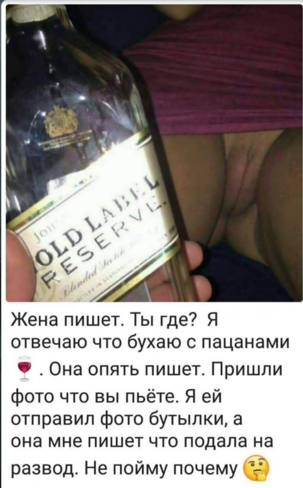 Скотсети и прочие интернеты 17.12.21