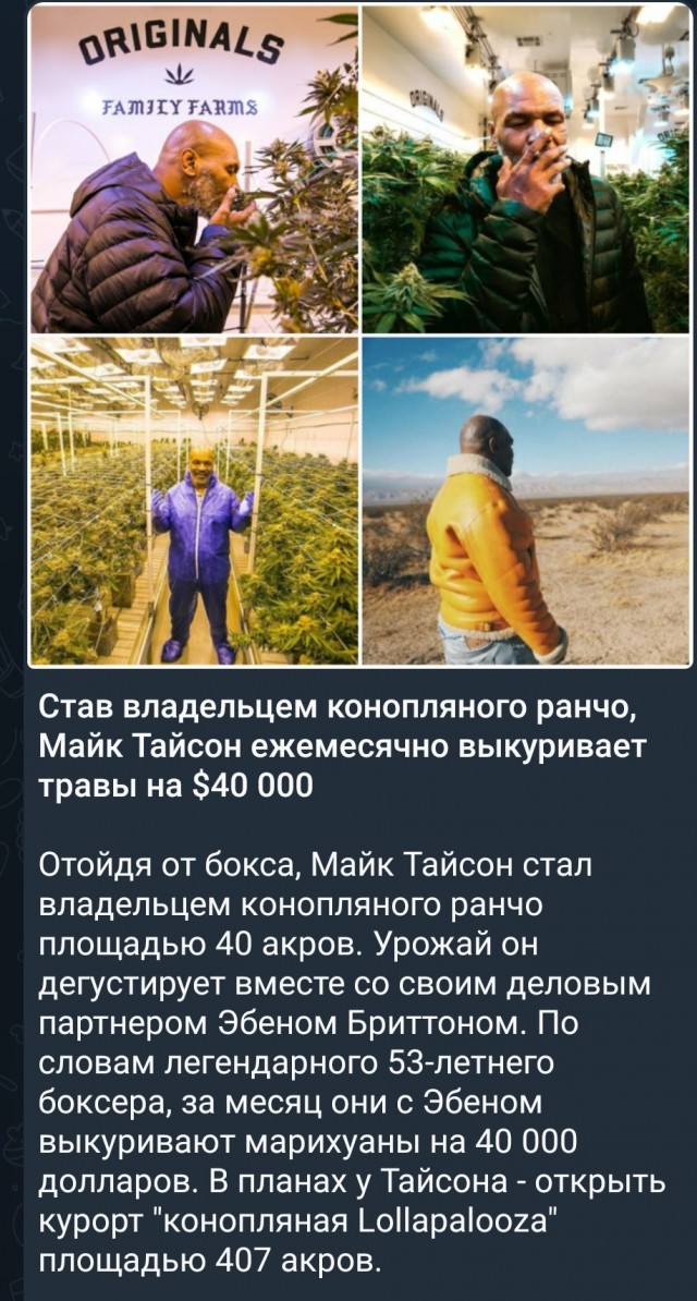 Майк Тайсон со своим урожаем