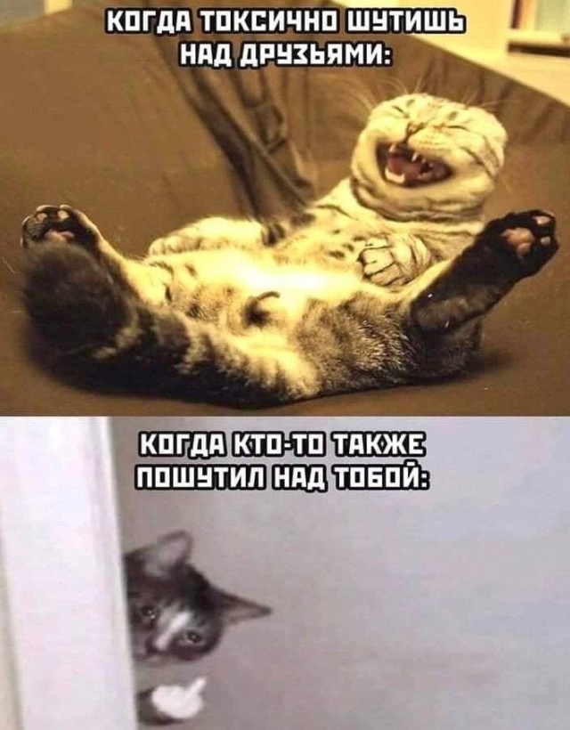 Картинки аморальные и всякие разные - 23