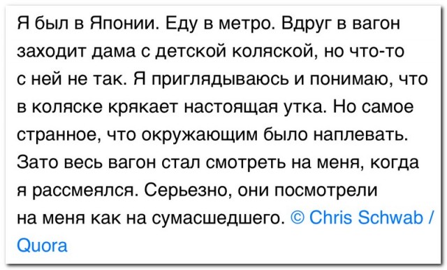 Забавные комментарии из социальных сетей 28.03.22