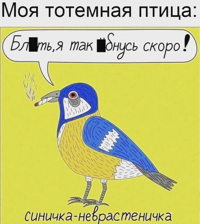 Так себе картинки 13.04.22