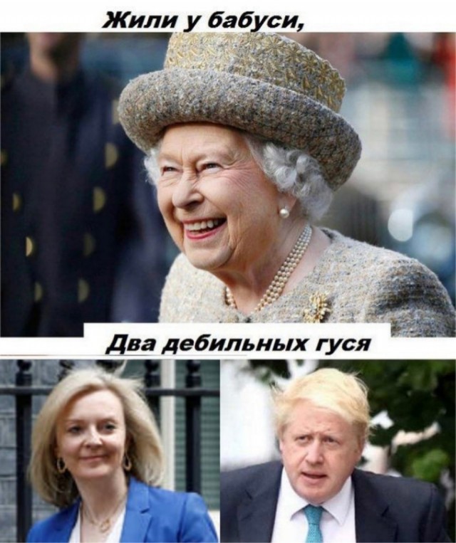 Весёлый полтишок 14.04.22