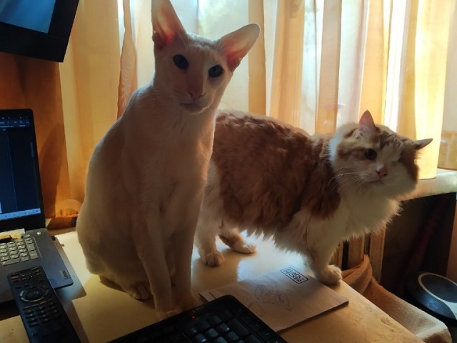 Пандемия. Коронавирус и съехавшие крыши. Россия и мир. Часть 35