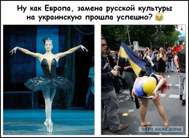 Германия и другие страны Европы меняют политику к беженцам из Украины: что изменится с 1 июня?